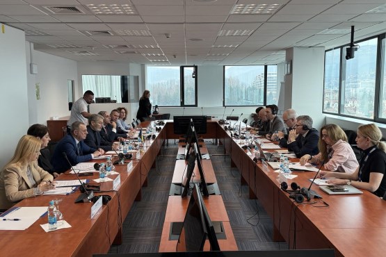 Predsjedavajući Zajedničke komisije za odbranu i sigurnost BiH Jasmin Imamović, parlamentarni vojni povjerenik BiH Boško Šiljegović i rukovodstvo Odbora za žalbe građana PSBiH održali sastanak sa šefom Misije OSCE-a u BiH i predstavnicima Odjela za sigurnosnu saradnju Misije OSCE-a u BiH 